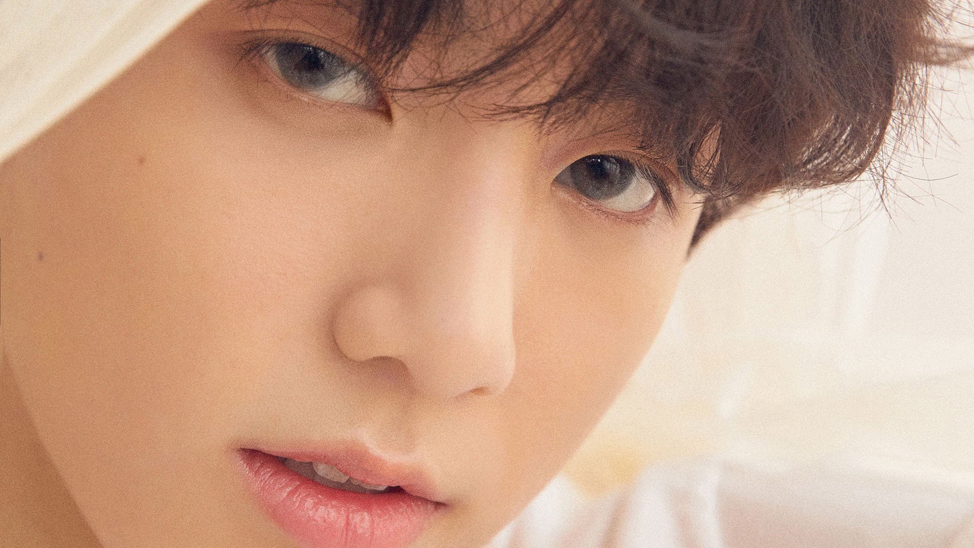 蓝色雄狮刺穿印加壁垒,一记比利时飞火,焚尽英超王座前最后的秘鲁坚冰