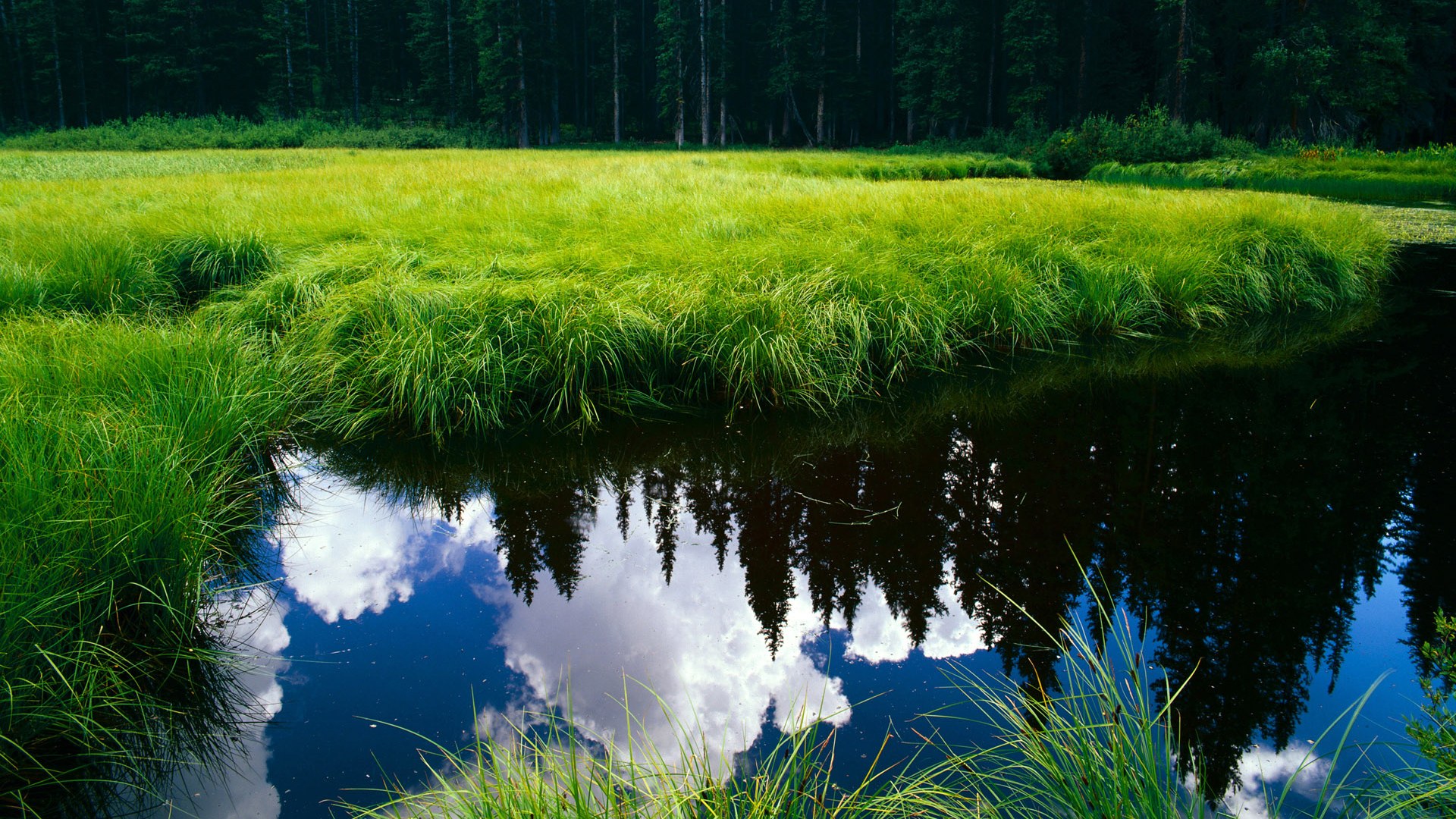 当篮球的雷霆劈入足球的英超,约基奇的冠军意志正跨越维度燃烧