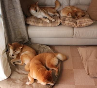 致命一击!克莱关键回合锁定胜局,骑士加时鏖战力克活塞