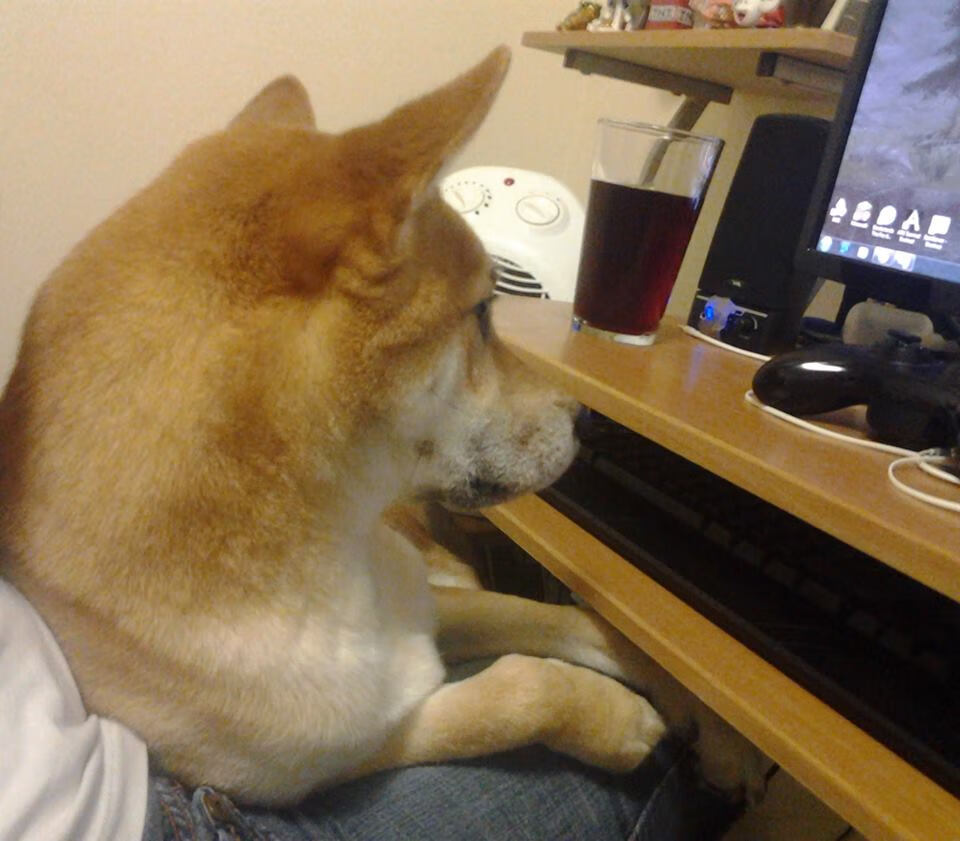 末节狂澜掘金魂！新疆飞虎‘借’约基奇逆转雄鹿