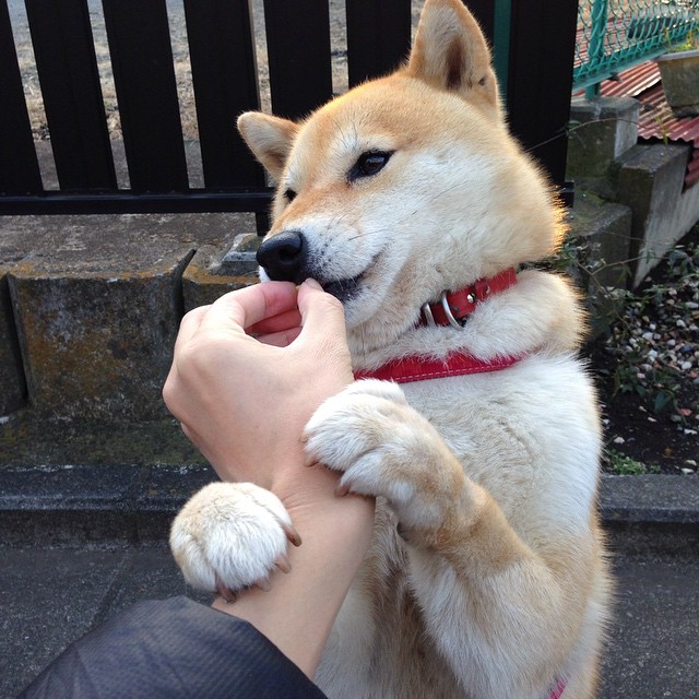 王子公园的闪电，基耶萨一击刺穿雄狮，巴黎从圣马梅斯带走毕尔巴鄂