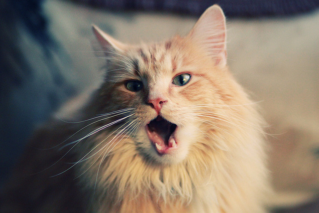 沉默的火山,西决生死夜,塔图姆在嘘声中完成了篮球最安静的复仇