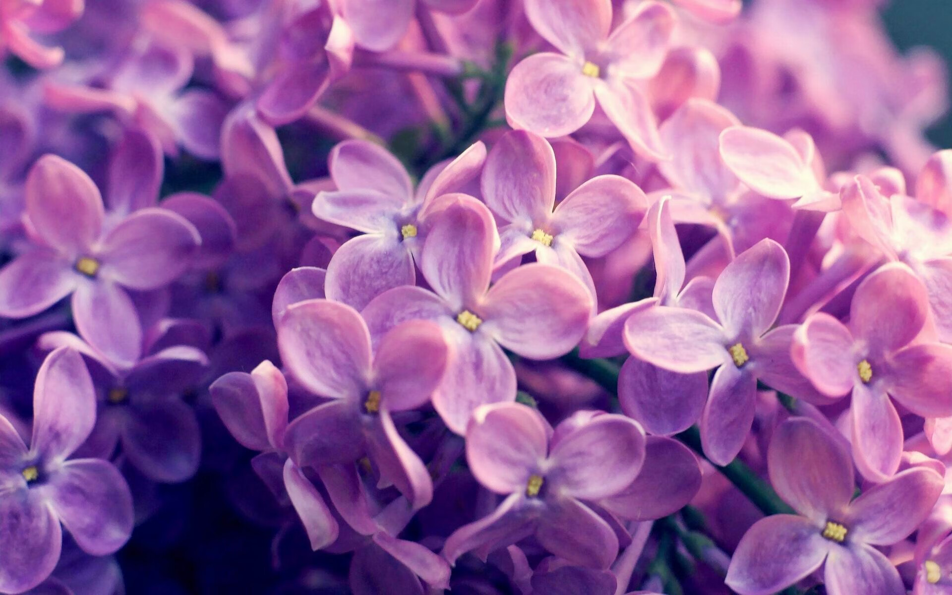 传奇之夜，当世界排名系于一人，坎特打出生涯最强音