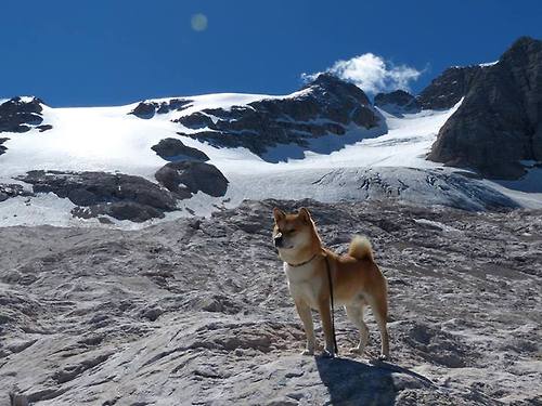 独一无二的神迹,克里斯·保罗的不朽之夜