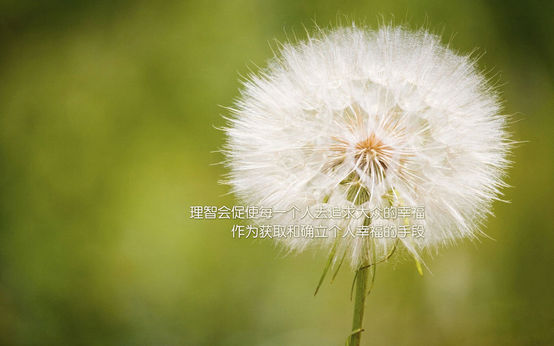 季后赛抢七之夜,霍勒迪的冰与火的交响诗,尘埃里的领袖风骨