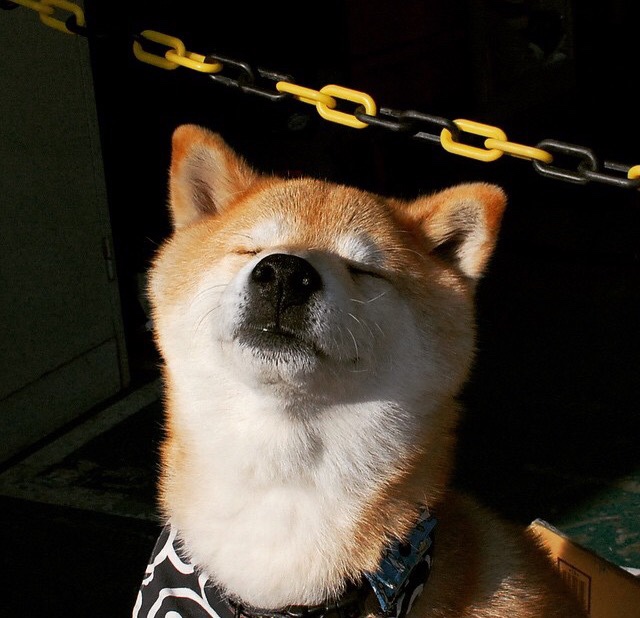 新王冠的加冕礼，莱奥·梅西，阿根廷于暴雨中攻克最后的堡垒