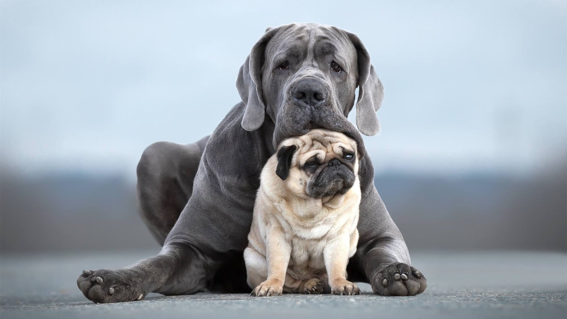 窒息之夜，凯塞多以心跳为计时器，为球队搏出10.7秒未来