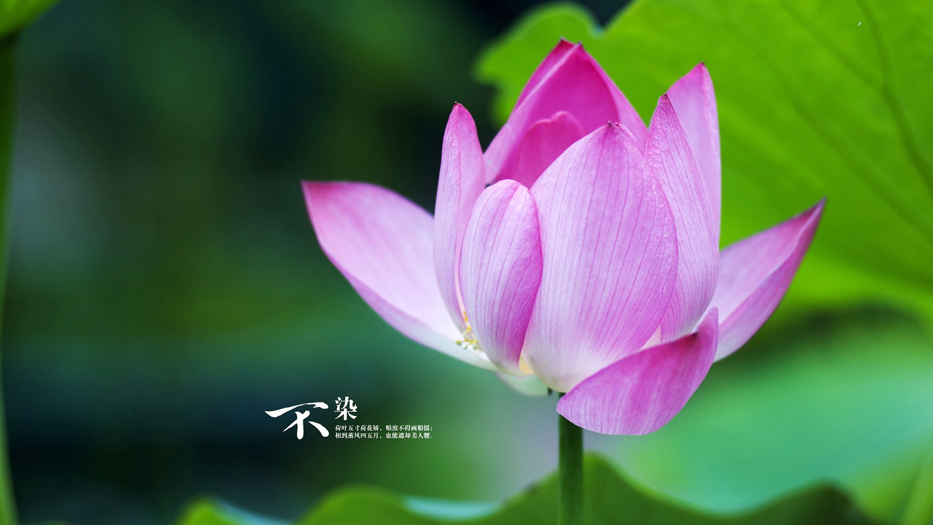 寒光一闪，欧文末节17分淬火，凯尔特人啃下76人硬骨头