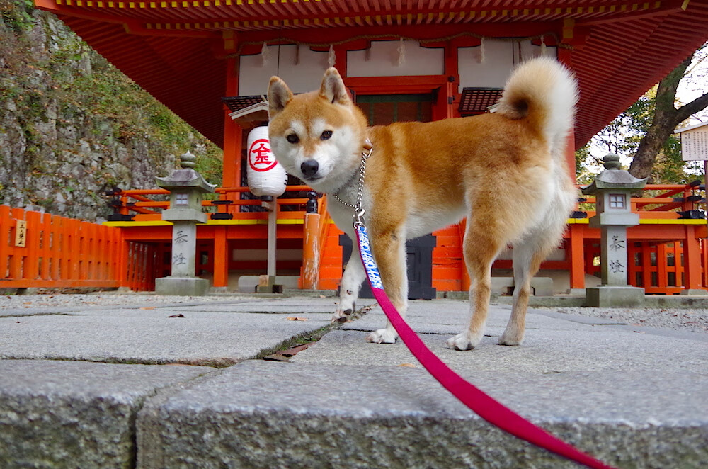 寒光一闪，欧文末节17分淬火，凯尔特人啃下76人硬骨头