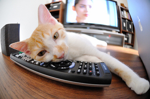 两个完美闭环，戈贝尔的禁飞区与马刺的体系压制