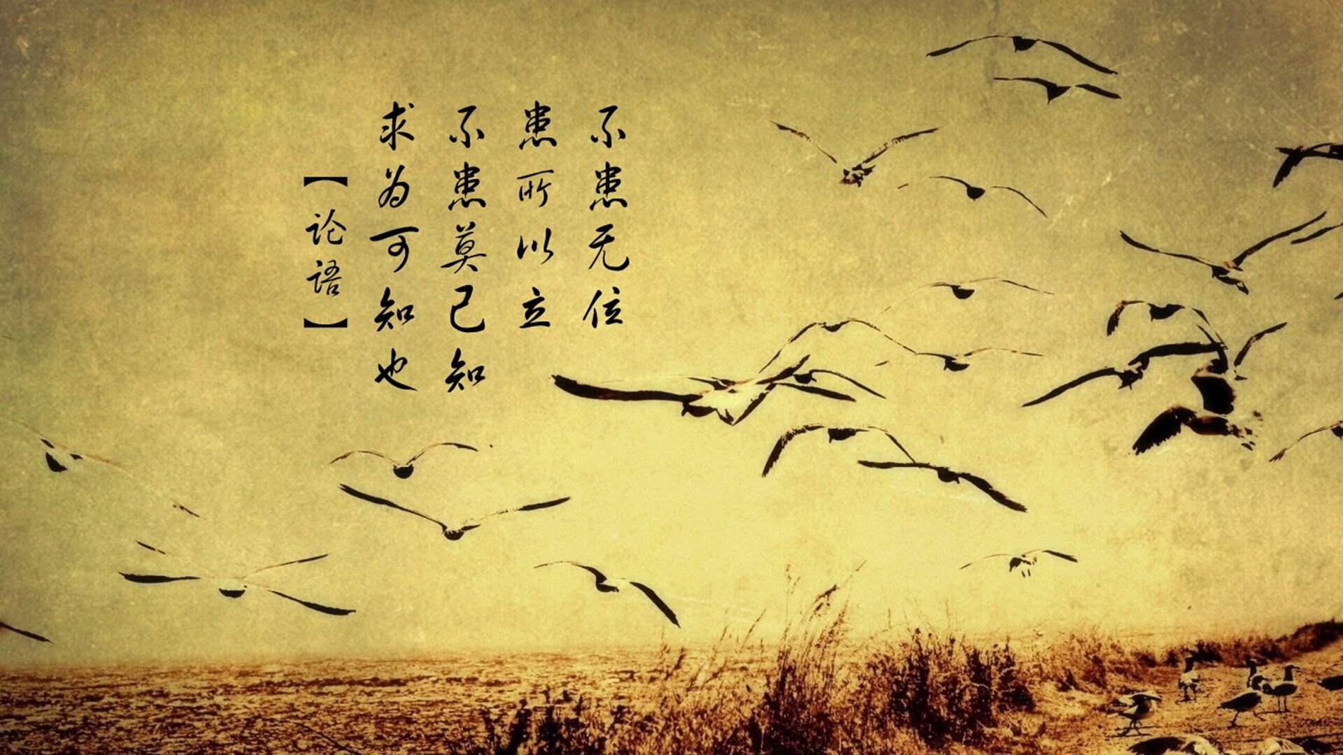 当火箭升空遇见陆地行走，莫兰特撕裂上海防线的个人天赋展演