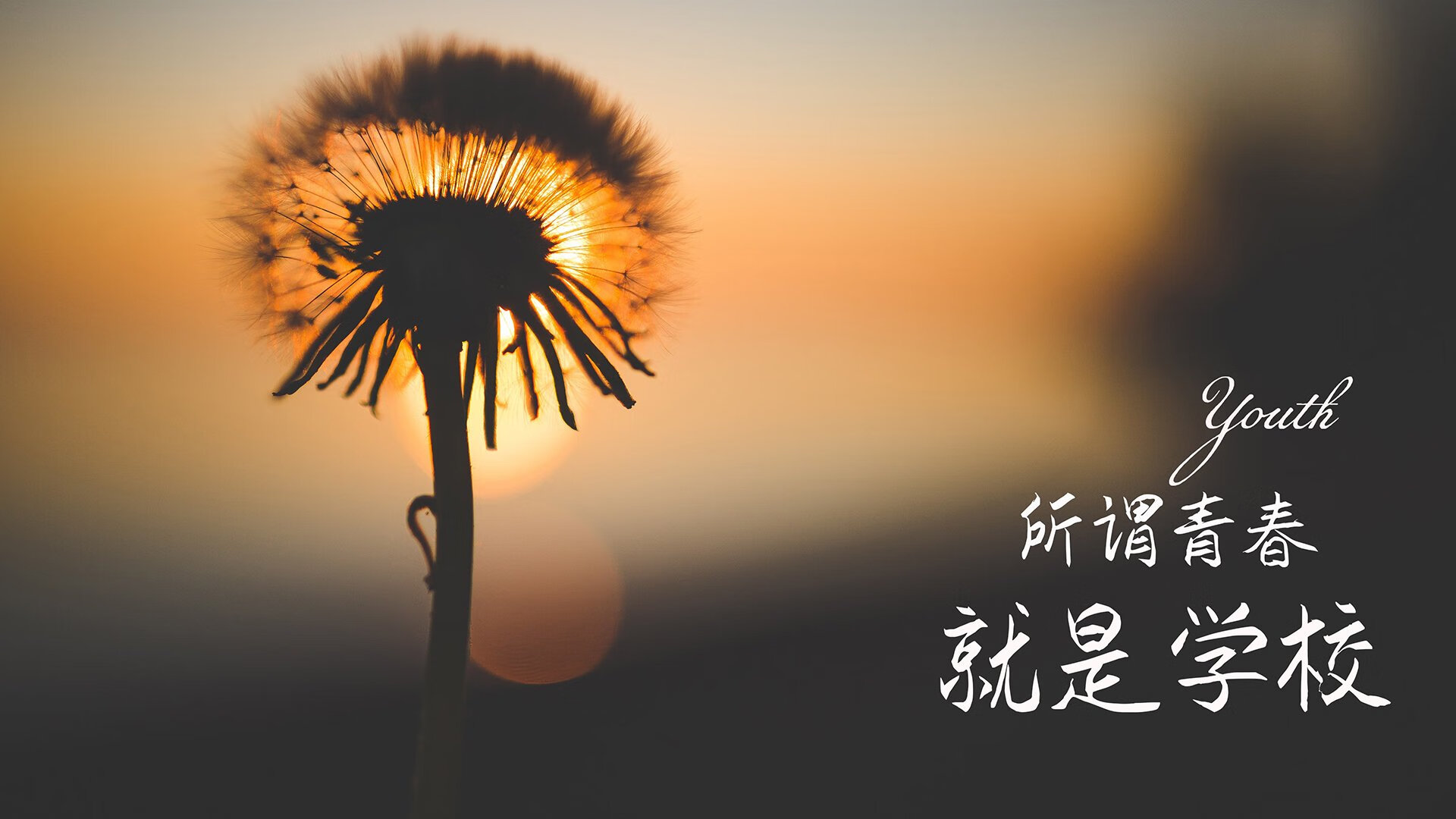 钢之意志对鹈鹕之翼，霍勒迪刀刃时刻展露巨星锋芒