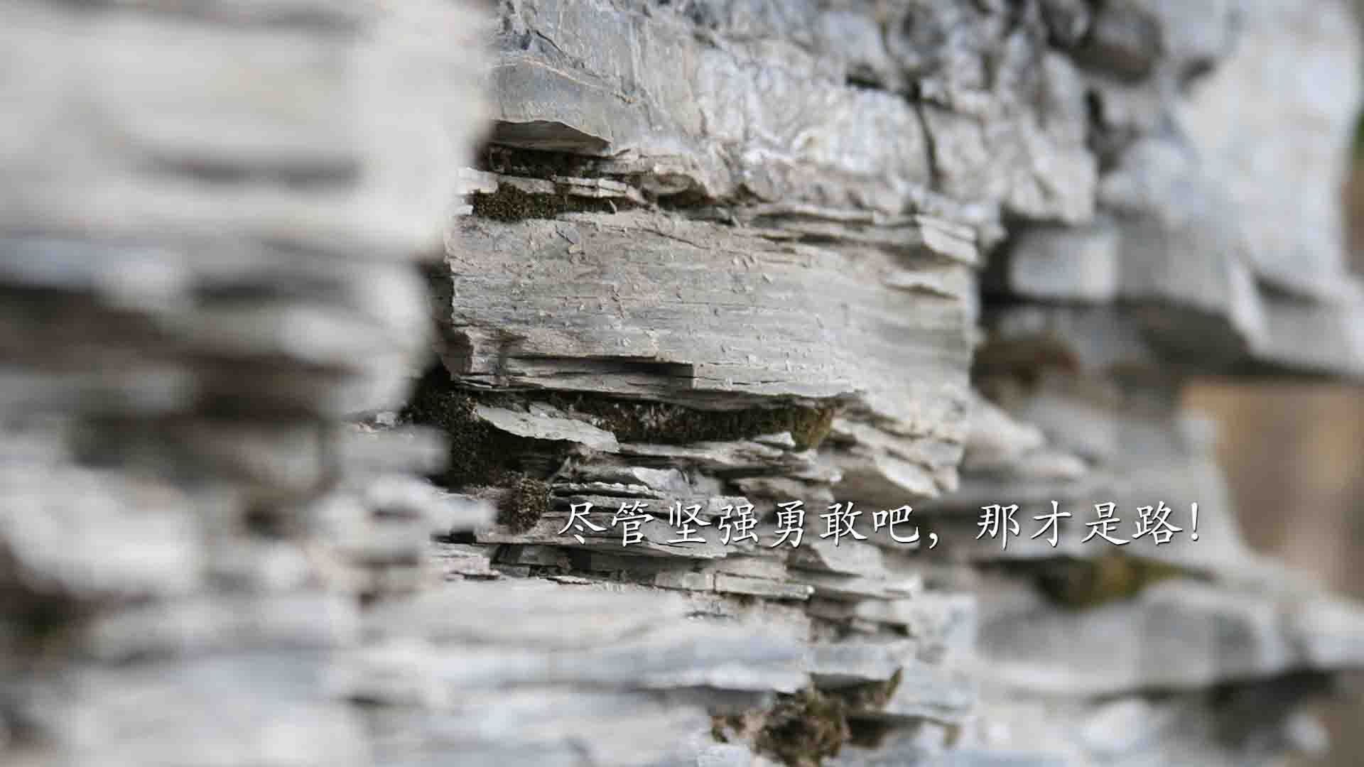以下是为您构思的文章标题和内容