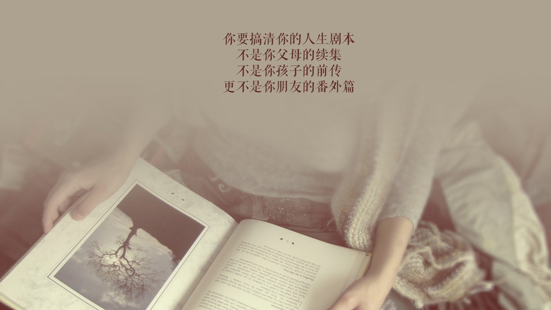 被孤独托举的屠龙者,努涅斯与塞尔维亚在2026世界杯A组的唯一性胜利