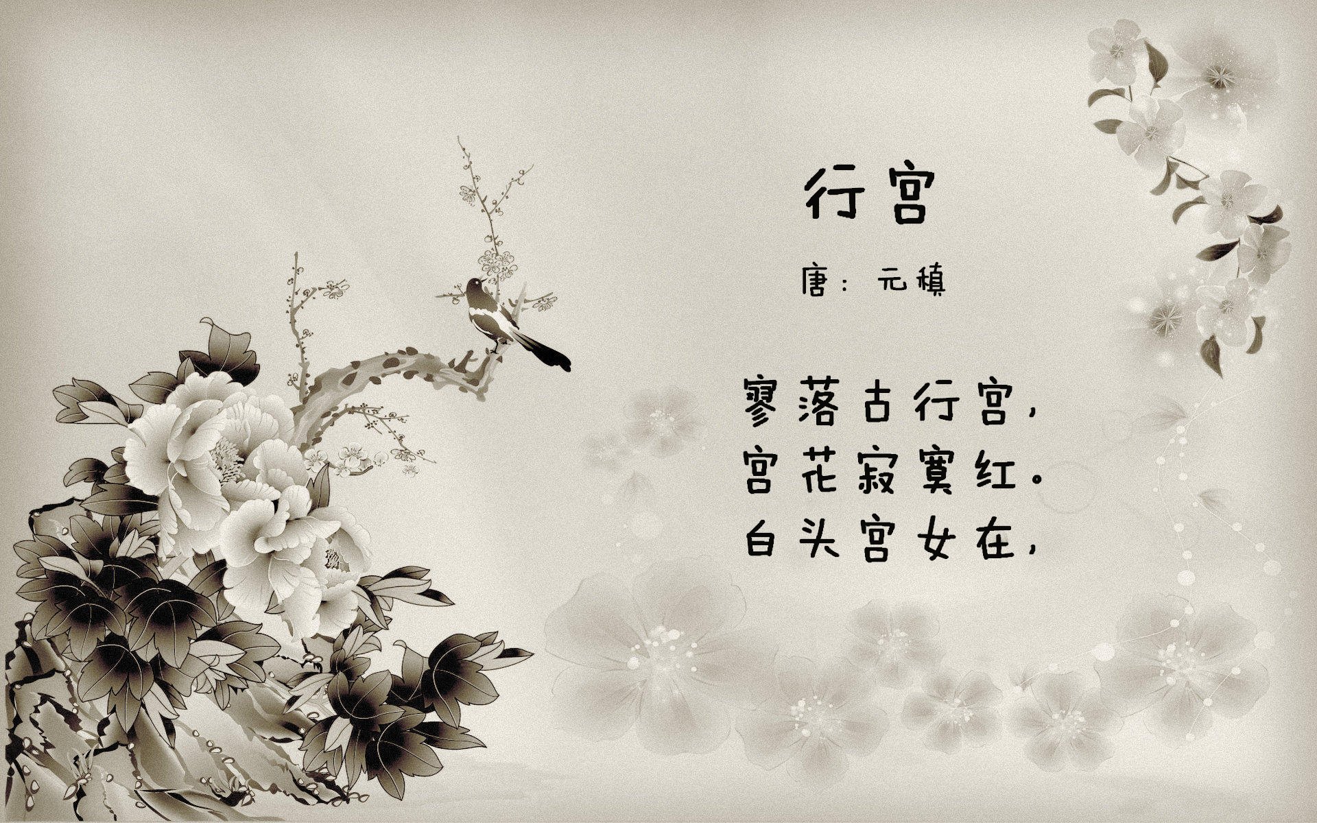 潘帕斯猎鹰啄食仙人掌,A组地狱火线,梅西封神一役定乾坤