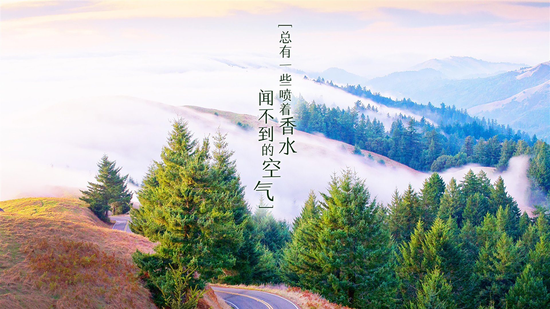沙漠之狐遭遇袋鼠军团，费利克斯独舞点燃C组唯一火种